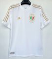 2024 25 ITALY 125TH soccer jersey
