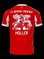2526 Bay Home MULLER 25