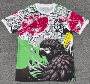 2526 Brazil Special version