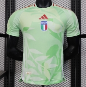 25 26 italy green away player version